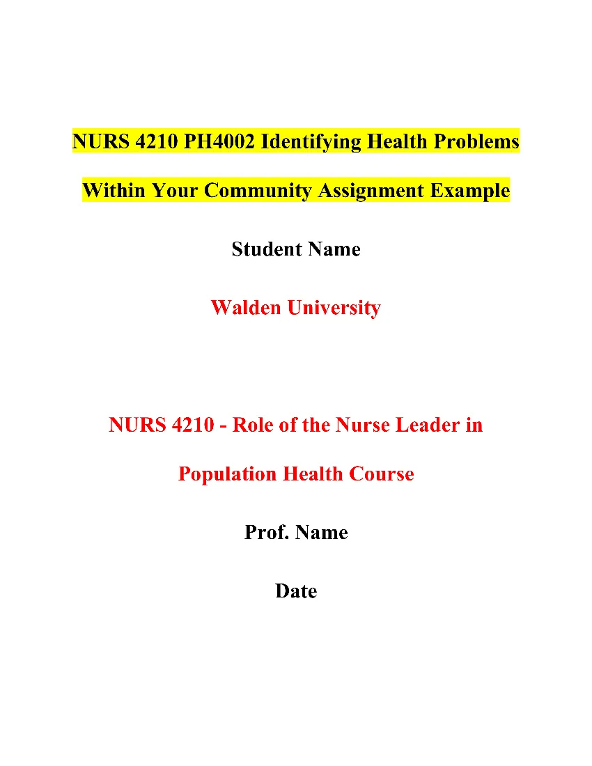 NURS 4210 PH4002 Identifying Health Problems Within Your Community Paper Example
